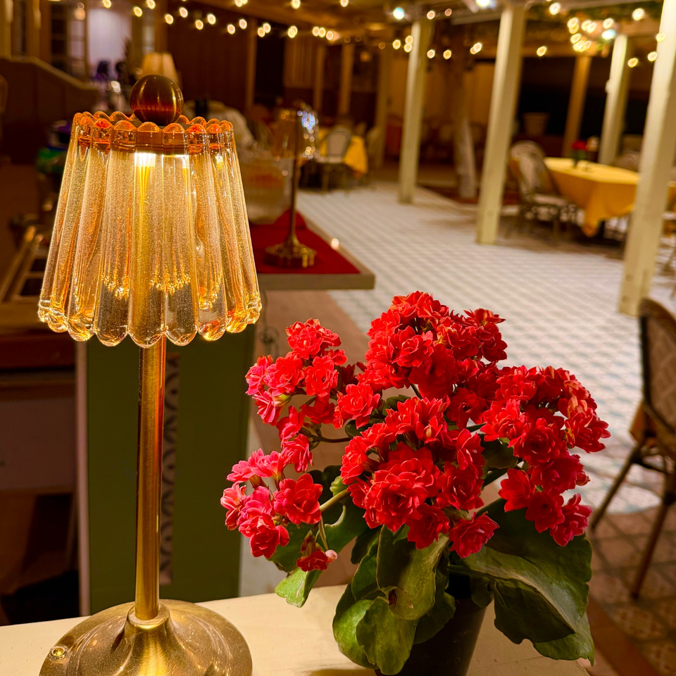 Warmly lit restaurant interior featuring a vintage glass table lamp and vibrant red flowering plant in the foreground.