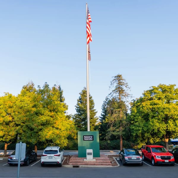American flag flying high on a flagpole in a parking lot surrounded by trees and cars.