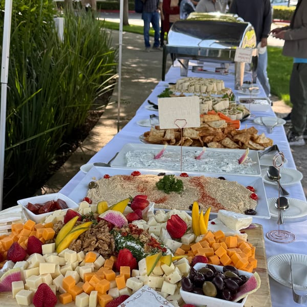 A long outdoor buffet table with various appetizers, including a cheese board, dips, and wraps.
